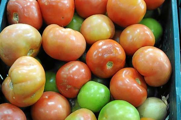 Tomate que há duas semanas custava R$ 3 subiu para R$ 6,49 em alguns supermercados