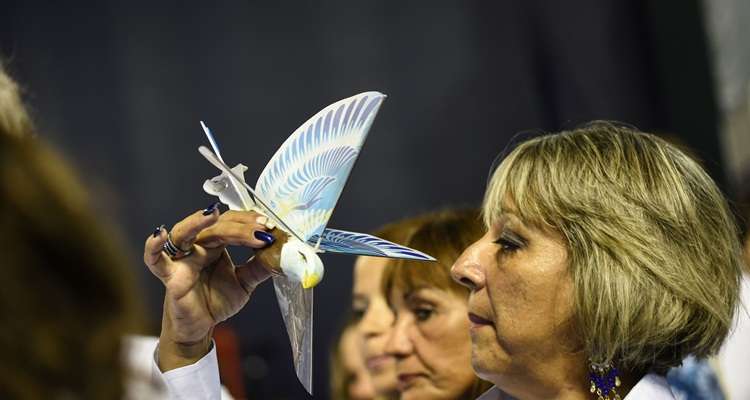 Drones em formato de águias