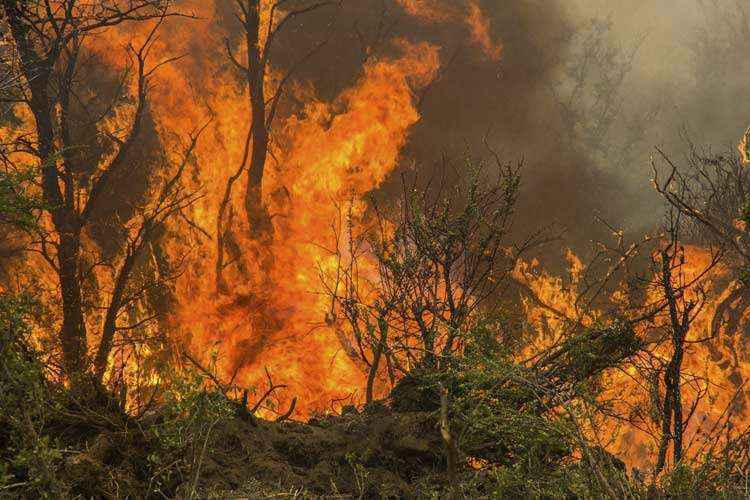 As autoridades estimam que a causa do fogo seja um raio, já que se originou a  1.600 metros de altura numa zona de difícil acesso