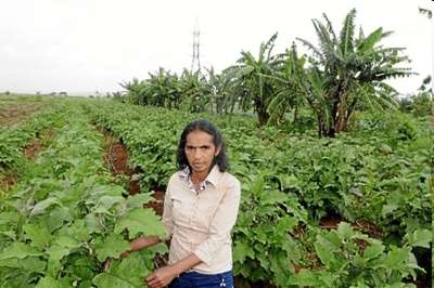 Em assentamento de Brazlândia, agricultora produz morango e hortaliças. Com o rendimento, sustenta os nove filhos e até comprou um carro zero. Na última quinta-feira, ganhou o Troféu Ouro no prêmio nacional Sebrae Mulher de Negócios, na categoria produtora rural