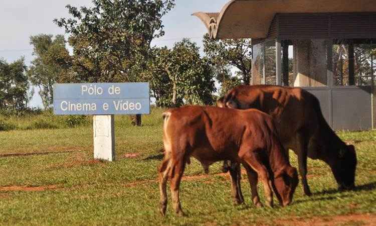 O Polo de Cinema e Vídeo, em Sobradinho, foi reaberto, mas ainda conta com estrutura precária