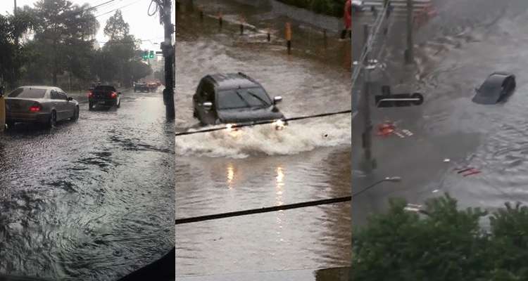 Moradores de São Paulo registraram cenas nas redes sociais