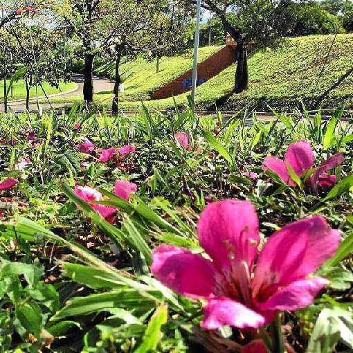 O início do outono tem gramados verdes e flores coloridas, mas a seca começa a aparecer em maio, mudando a paisagem da capital