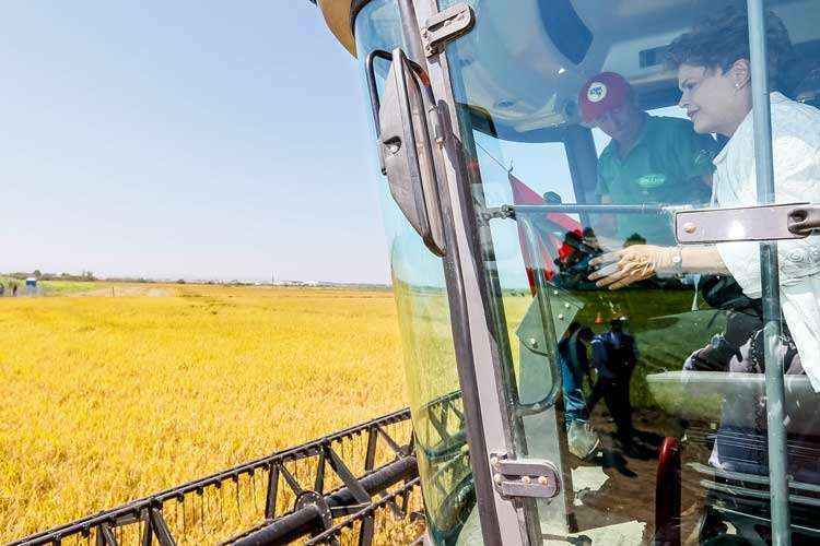 Dilma Rousseff participou ontem da abertura oficial da colheita de arroz de uma cooperativa de assentados em Porto Alegre