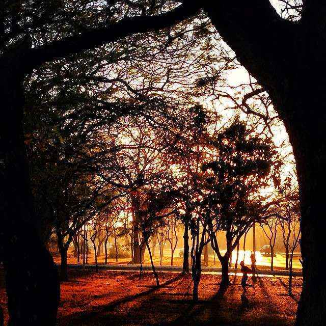 Quinta-feira amanheceu com sol em Brasília