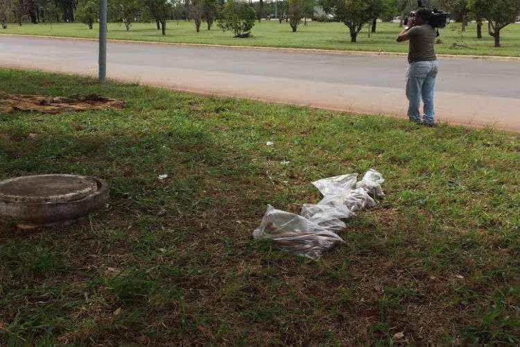 Os ossos foram encaminhados para perícia no IML. A princípio, seriam de um homem e estariam abandonados há um ano e meio