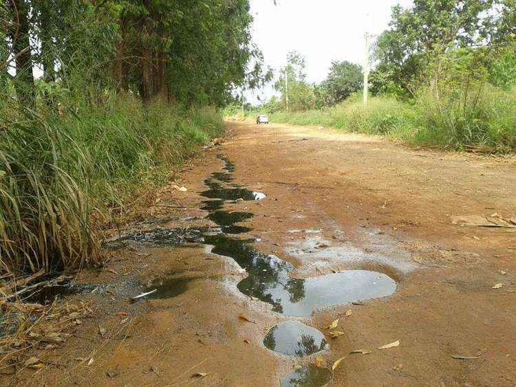 Moradores reclamam do forte cheiro e o risco de contaminação dos pedestres que usam a estrada