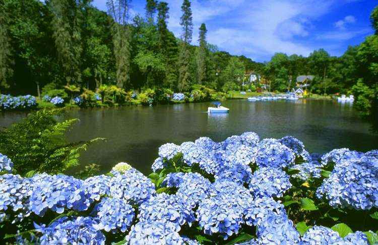 Lago negro, em Gramado