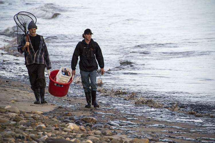 Moradores também ajudam na limpeza do Oceano Pacífico perto de Santa Barbara ,Califórnia