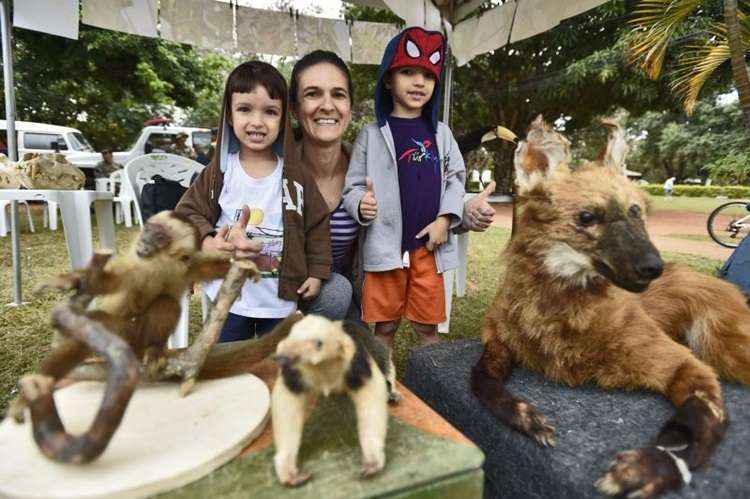 Fabíola Viena e os sobrinhos observando os animais empalhados