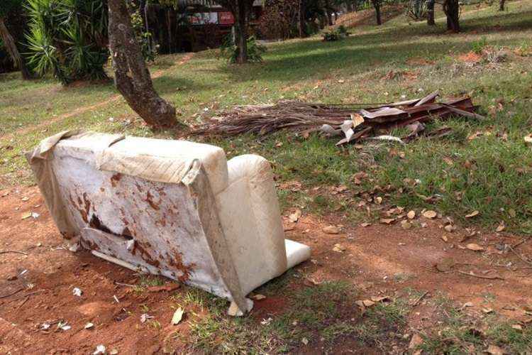 Sofá descartado em meio às árvores na Asa Norte