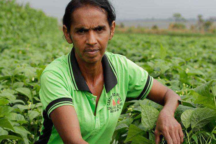 Com investimento inicial de R$ 5 mil, Noilde passou a cultivar hortaliças e morangos em uma chácara em Brazlândia e hoje lucra R$ 24 mil ao ano