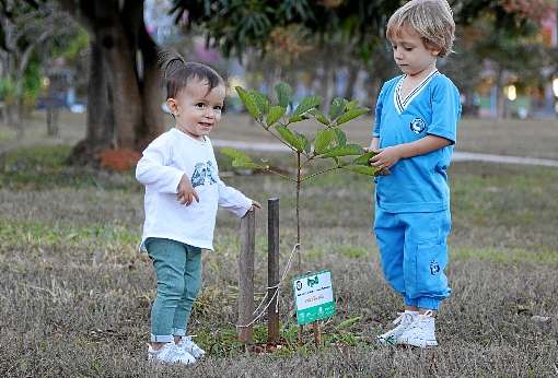 Maria e Pedro acompanham, empenhados, a evolução das mudas plantadas na 214 Norte: atividade lúdica