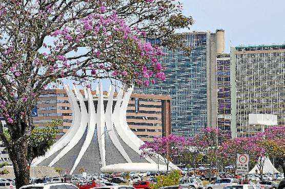 As flores roxas já tomaram a cidade e despertam a atenção dos brasilienses. Próximo ao Congresso Nacional, à Catedral, nas asas Sul e Norte e em diversos outros pontos, elas embelezam a capital.