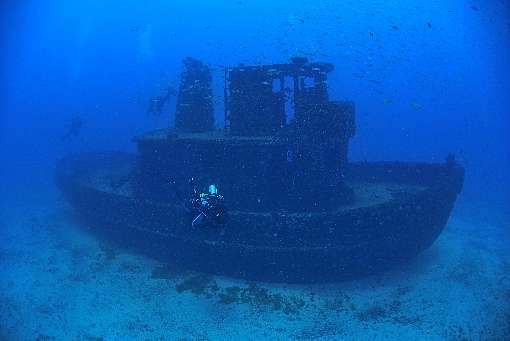 Naufrágio artificial no Recife: aproveitamento de velhas embarcações para abrigar vida marinha