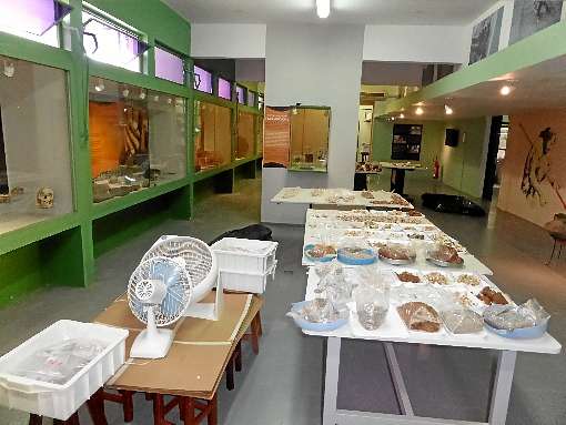 Museu do Sambaqui: ventiladores secam artefatos atingidos por enchente