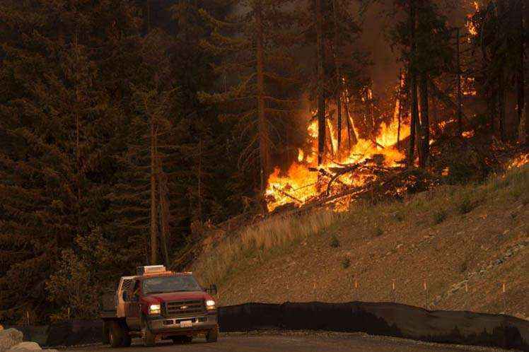 O fogo nas florestas afetam dez estados norte-americanos