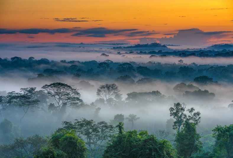 Foto do alto Amazonas integra as projeções