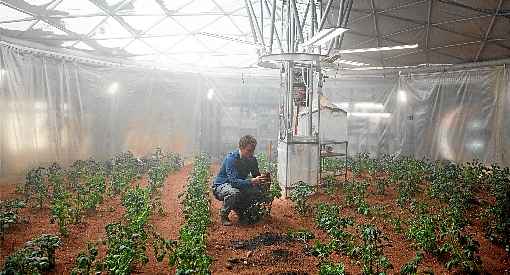 No filme, batatas são plantadas usando técnica estudada há anos pela Nasa