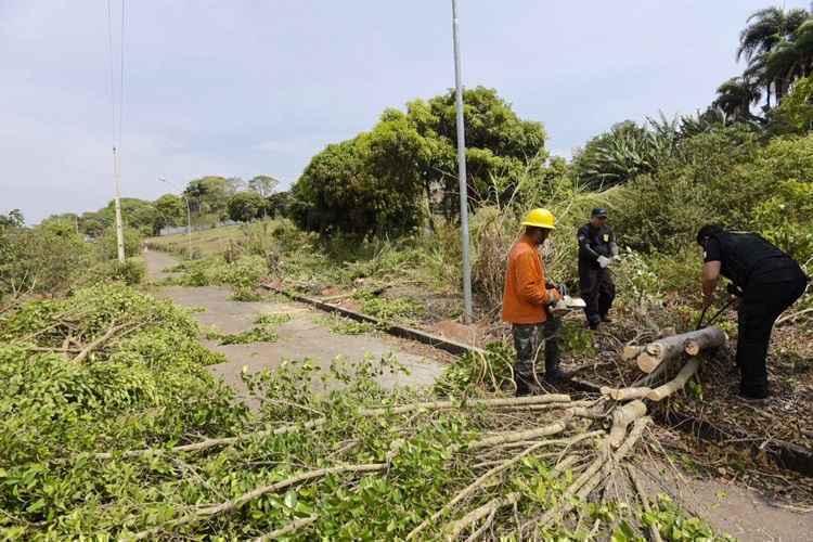 Retirada de cercas vivas em área de proteção