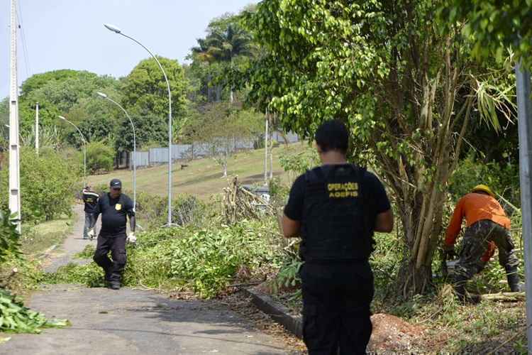 Outros tipos de cercas já tinham sido retiradas pelos moradores