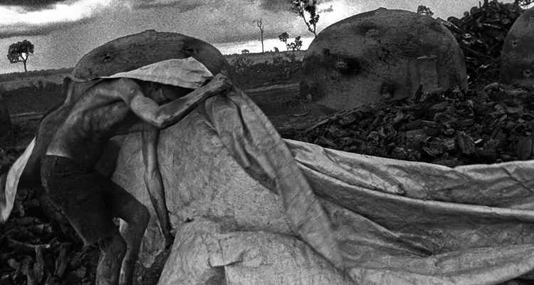 Os brasileiros seguem o caminho de Sebastião Salgado