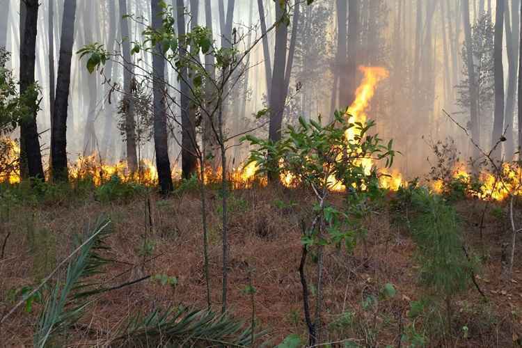 Incêndio foi classificado como de média proporção