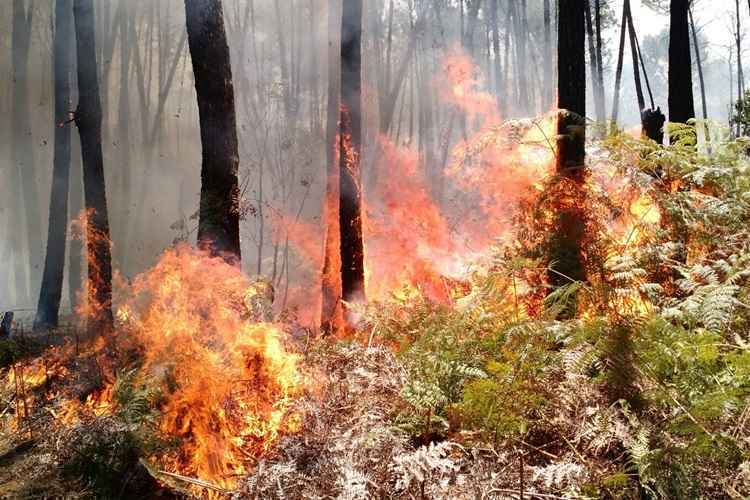 Segundo informações do Corpo de Bombeiros, neste sábado (10/10) houve registro de foco de incêndio no local