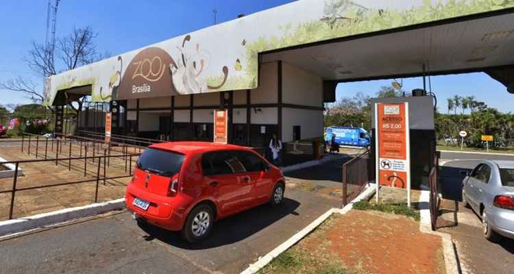 Zoológico de Brasília tem ingresso com preço especial no Dia das Crianças