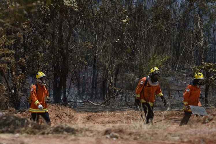 O clima seco e quente favorece o aparecimento desse tipo de ocorrência