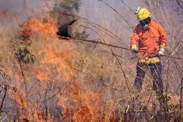 El Niño aumenta chances de queimadas na Amazônia