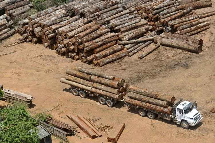 A Organização para a Cooperação e Desenvolvimento Econômico (OCDE) divulgou um relatório para analisar o desempenho das políticas de proteção ambiental no Brasil