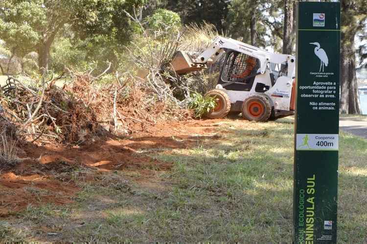 Cercas vivas retiradas da orla