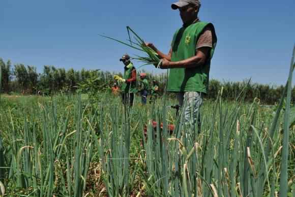 A preocupação do Brasil é com a queda dos preços agrícolas no mercado internacional