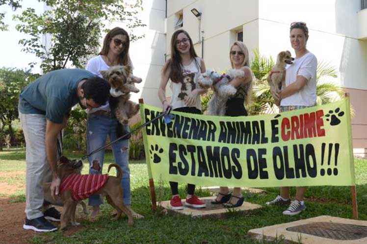 Moradores passaram a tomar mais cuidado depois de ocorrências e mudaram local de passeios