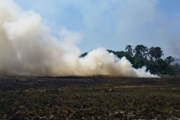 O incêndio começou no sábado (7/11) e, na quinta-feira (12/11), a área de visitação de turistas foi fechada