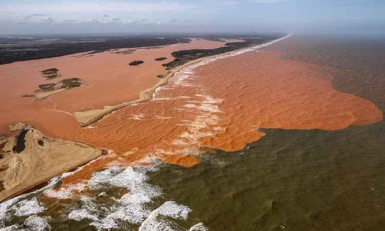 Até o fim da tarde de  domingo (22/11), pelo menos três quilômetros de mar já haviam sido percorridos pelos rejeitos de minério e peixes de água doce e marinhos começaram a aparecer mortos