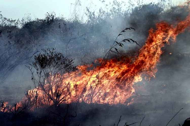 Incêndio na Chapada Diamantina começou em 26 de outubro e consumiu entre 15 mil e 30 mil hectares