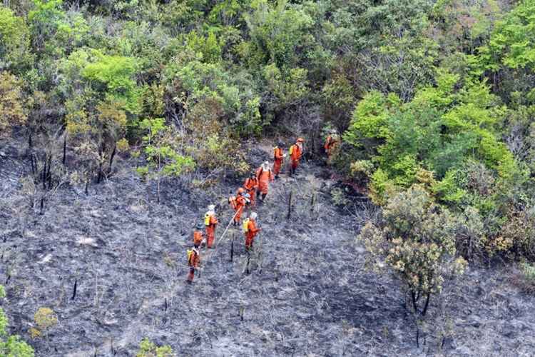 Incêndio começou em 26 de outubro e teria sido causado por ação humana