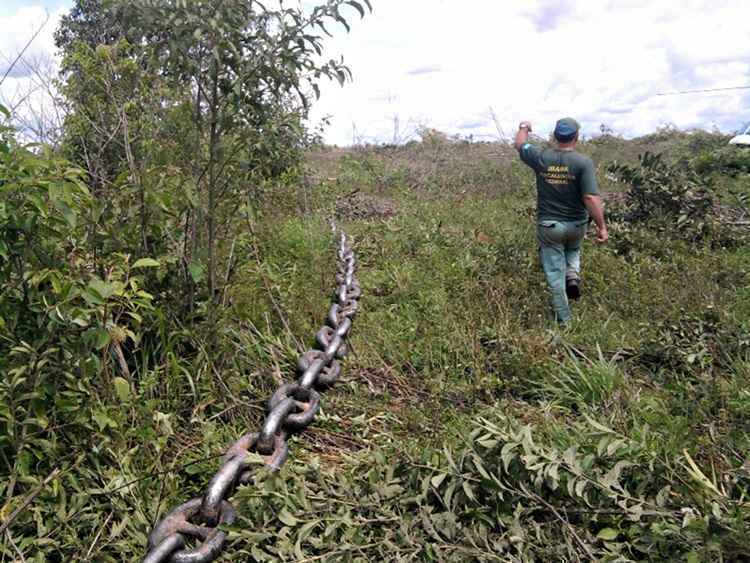 Segundo informações técnicas preliminares da pasta, o aumento deve-se à expansão da pecuária e também da agricultura nesses estados