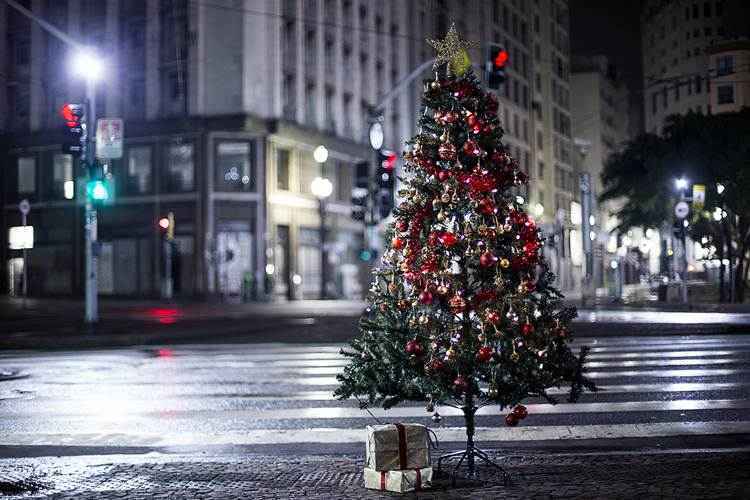 Segundo os idealizadores, a ideia é que a população coloque presentes embaixo das árvores espalhadas pela capital paulista e torne o Natal dos moradores de rua mais alegre