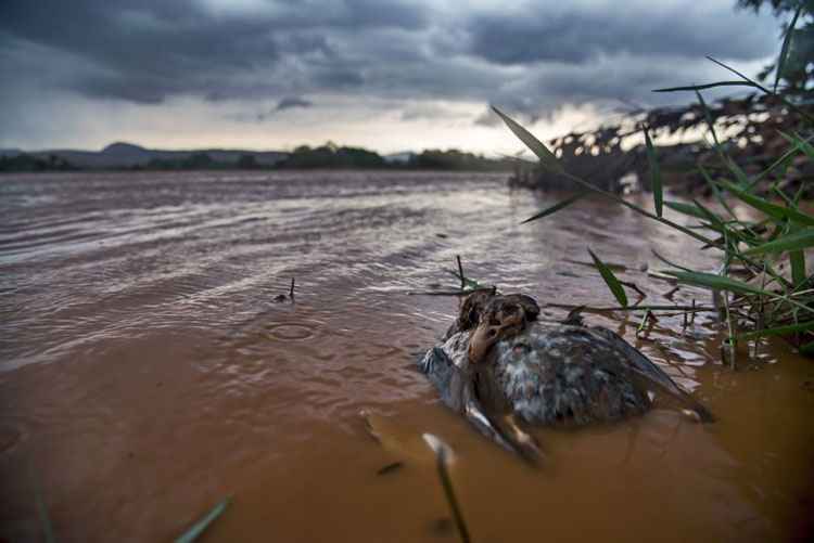 O documento de 47 páginas só considera a possibilidade de vazamento por excesso de chuva, ignorando fatores como acomodações de terreno e pequenos tremores