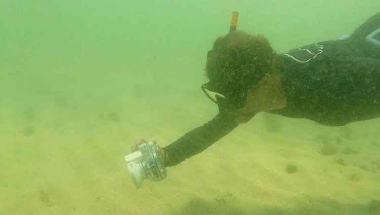 Mergulho com snorkel no arquipélago, agora só acompanhando de guias