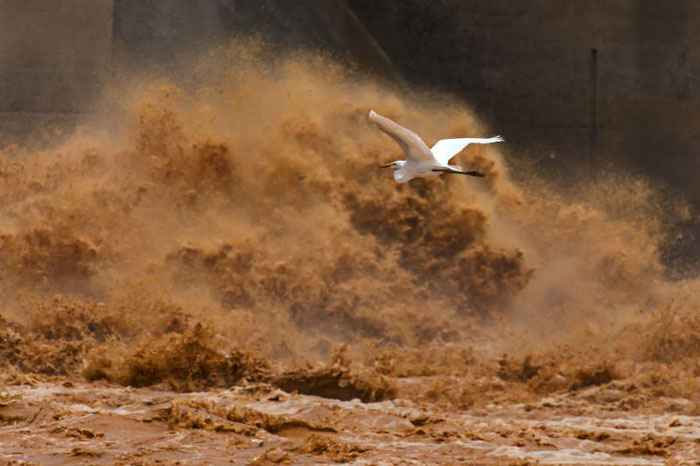 A barragem recebia rejeito de minério de ferro também da Mina de Alegria, da Vale - dona da Samarco juntamente com a mineradora anglo-australiana BHP Billiton