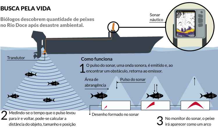 Dados dos locais onde os animais foram flagrados estão armazenados em um aparelho GPS