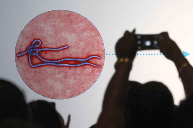 A epidemia da doença na África Ocidental foi a mais letal desde a identificação do vírus há 40 anos, com pelo menos 11 mil vítimas