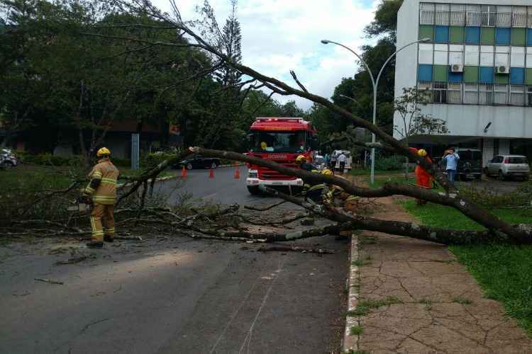 Árvore caiu na 405/6 Sul na tarde desta terça-feira