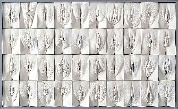 'O Grande Mural da Vagina': durante cinco anos, o artista plástico inglês Jamie McCartney tirou moldes de gesso de 400 vaginas, dos mais diferentes tipos de mulheres: jovens, velhas, mães, filhas...