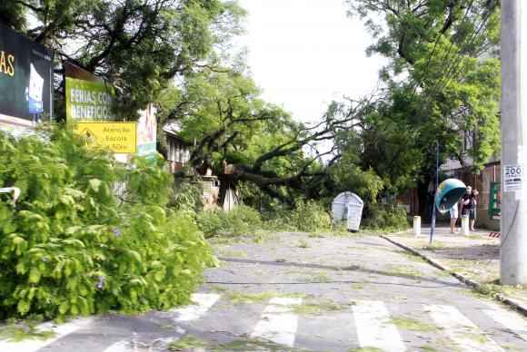 Temporal em Porto Alegre derruba árvores e deixa mais de 300 mil residências sem luz