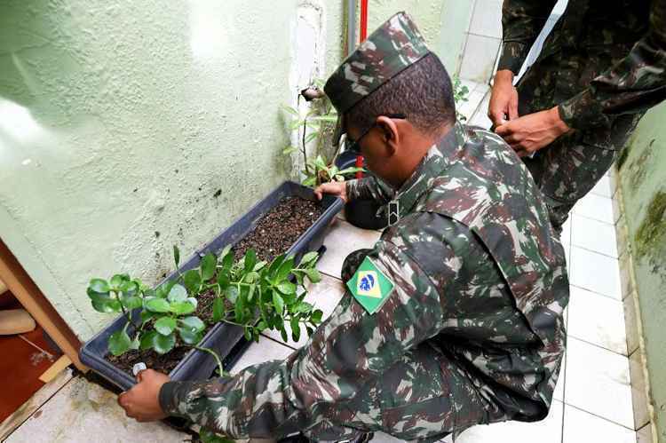 Militar do Exército inspeciona pneus velhos na área rural de Brazlândia: no fim de semana, 18 mil homens se uniram à mobilização contra o Aedes